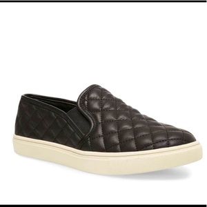 Steve Madden Ecentrcq Black